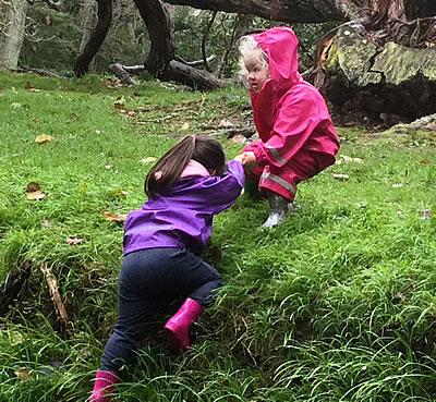 child looking at web on a tree